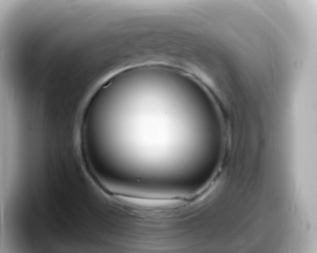 X0000099581500200805231540