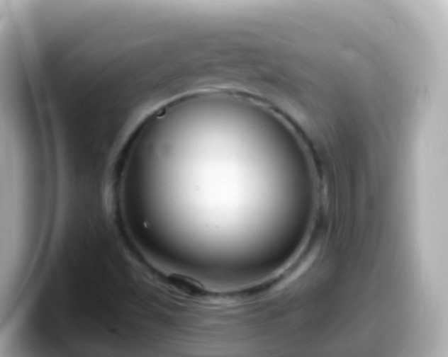 X0000099581501200805231540