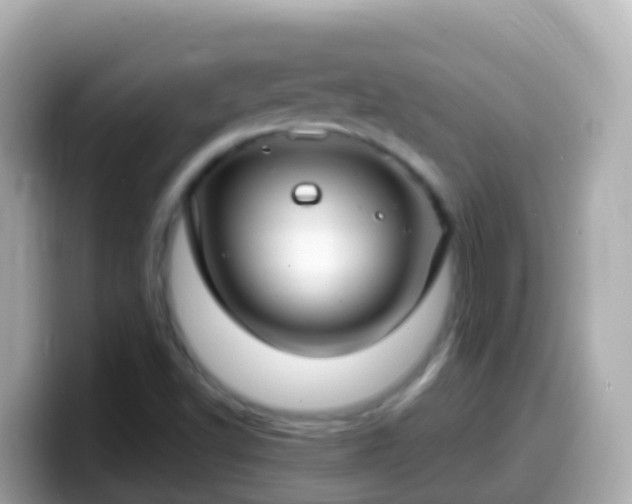 X0000099581502200805231540