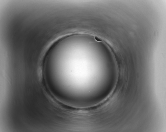 X0000099581503200805231540