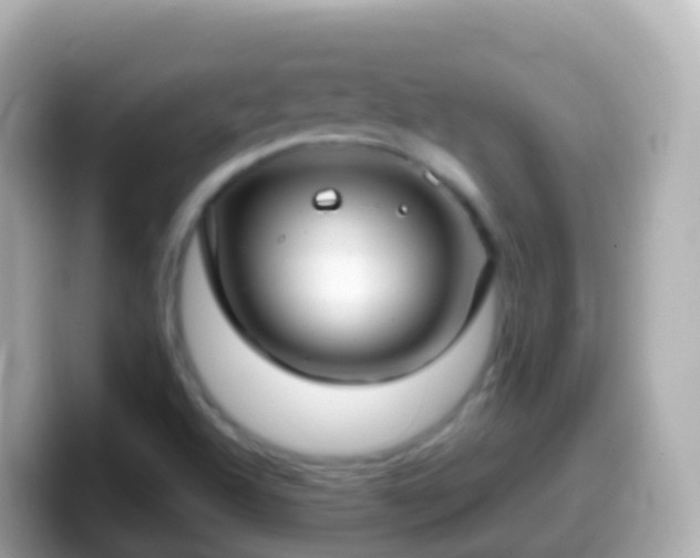X0000099581504200805231540