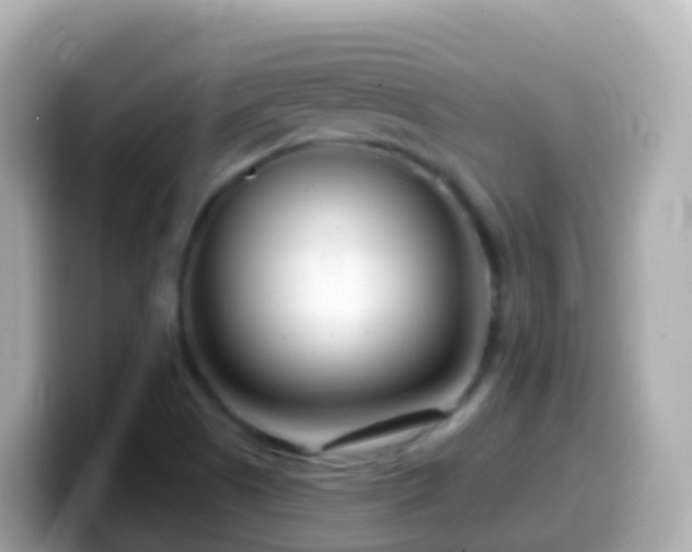 X0000099581505200805231540