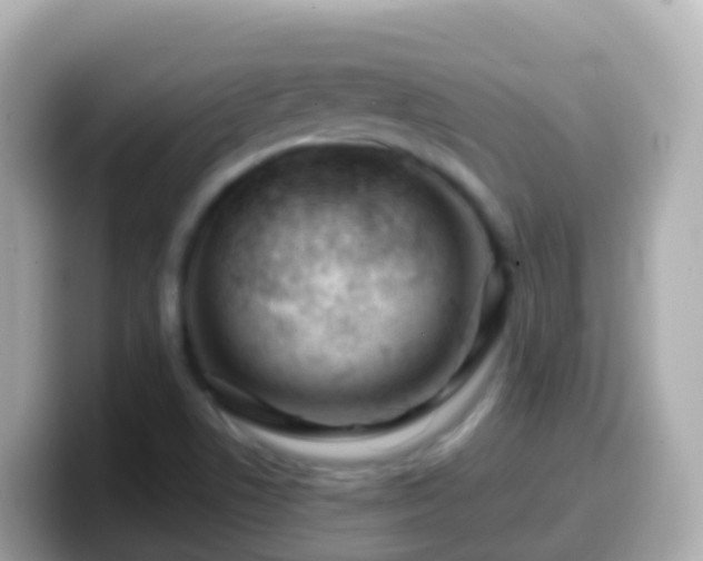 X0000099581506200805231540