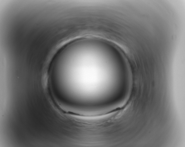 X0000099581507200805231540