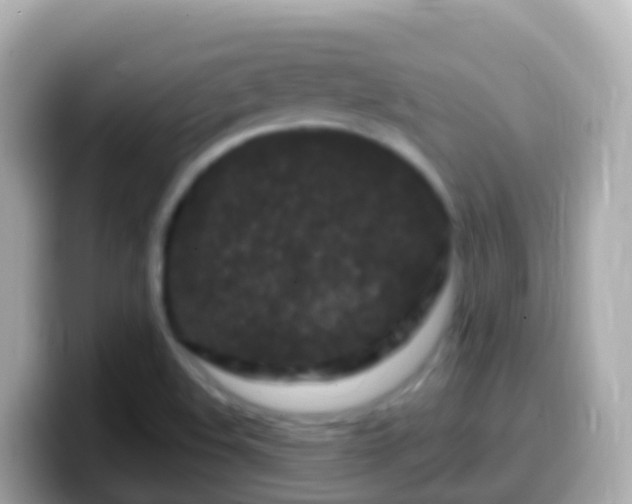 X0000099581508200805231540