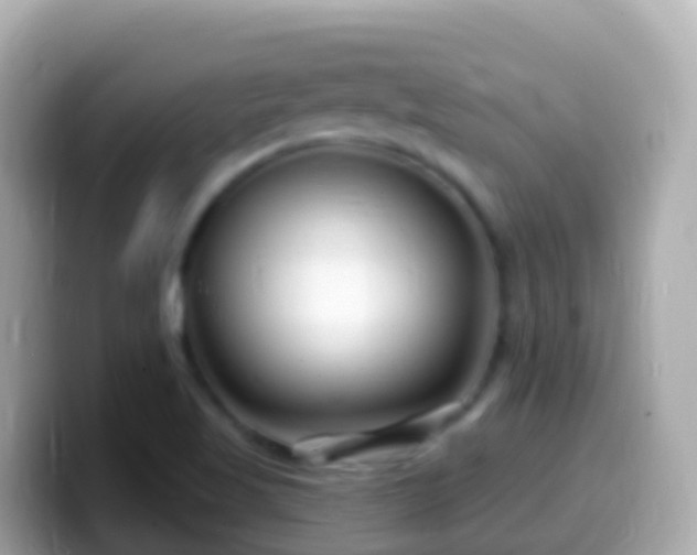 X0000099581509200805231540