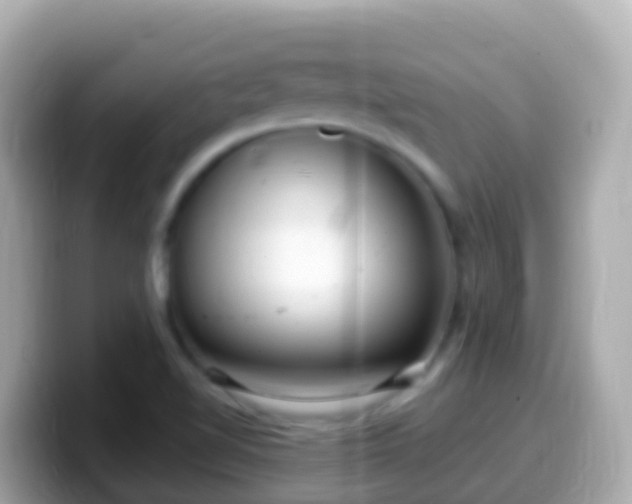 X0000099581510200805231540