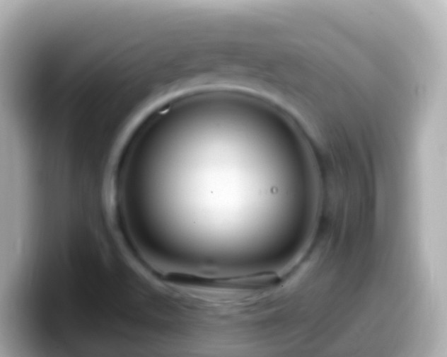 X0000099581511200805231540