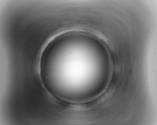 X0000099581512200805231540