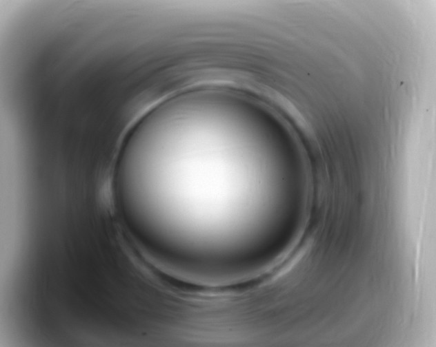 X0000099581513200805231540