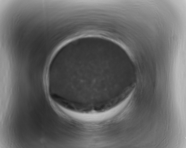 X0000099581515200805231540