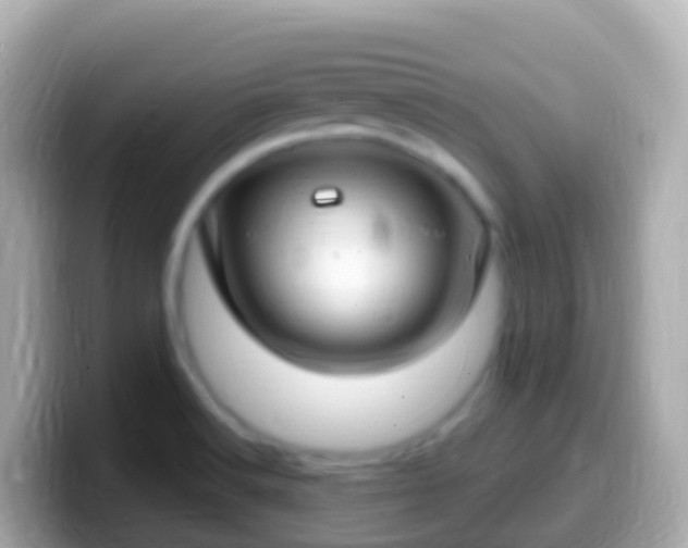 X0000099581516200805231540