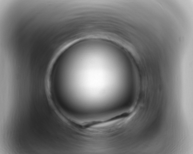 X0000099581517200805231541