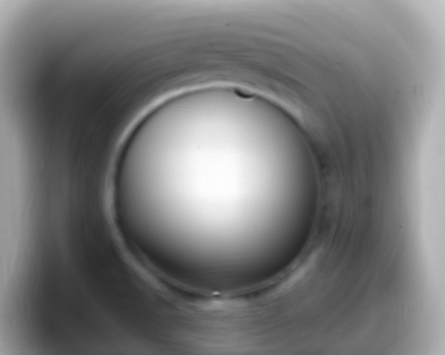 X0000099581518200805231541