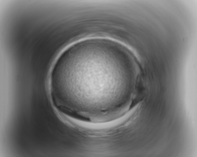 X0000099581519200805231541