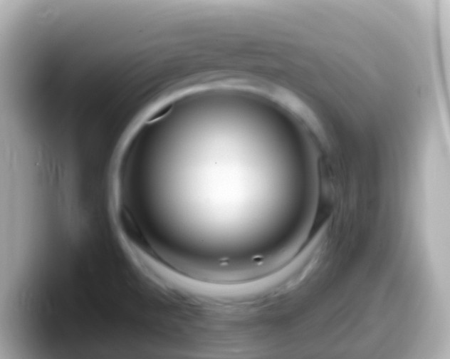 X0000099581520200805231541