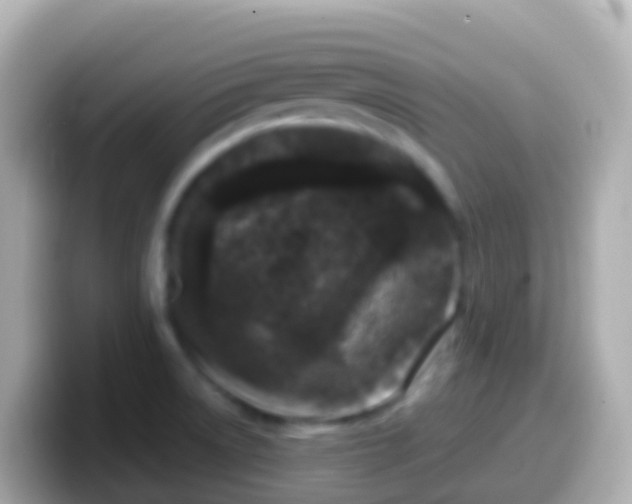 X0000099581522200805231541