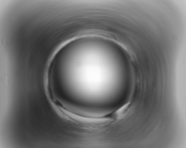 X0000099581523200805231541