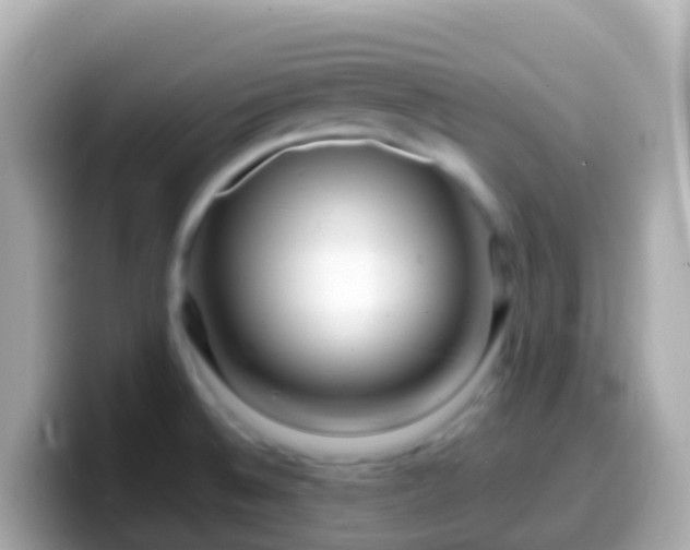 X0000099581524200805231541