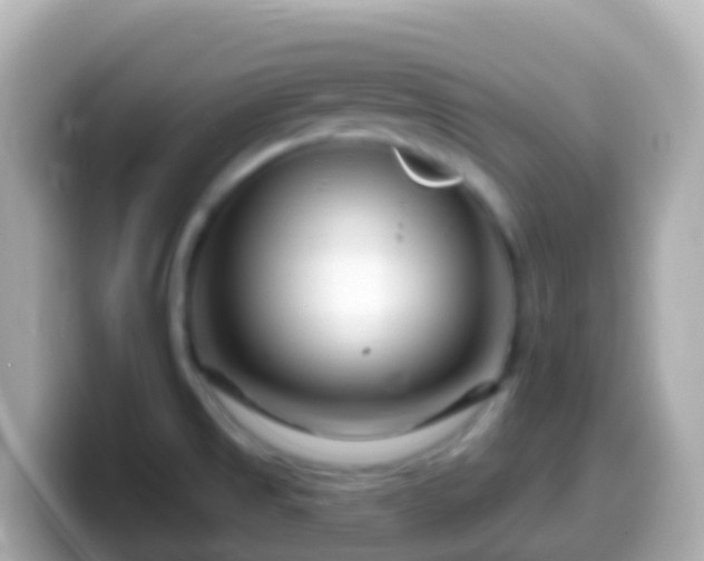X0000099581525200805231541