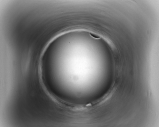 X0000099581526200805231541