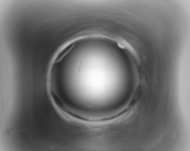 X0000099581528200805231541