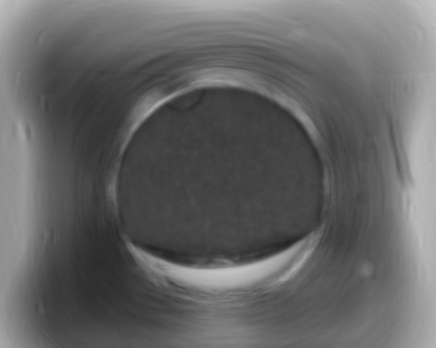 X0000099581529200805231541
