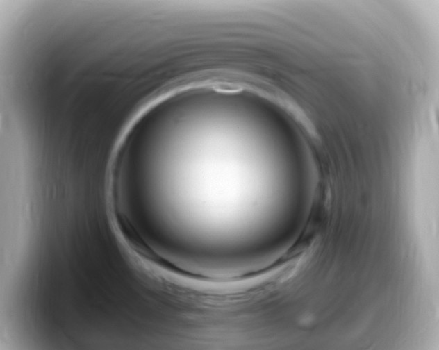 X0000099581530200805231541