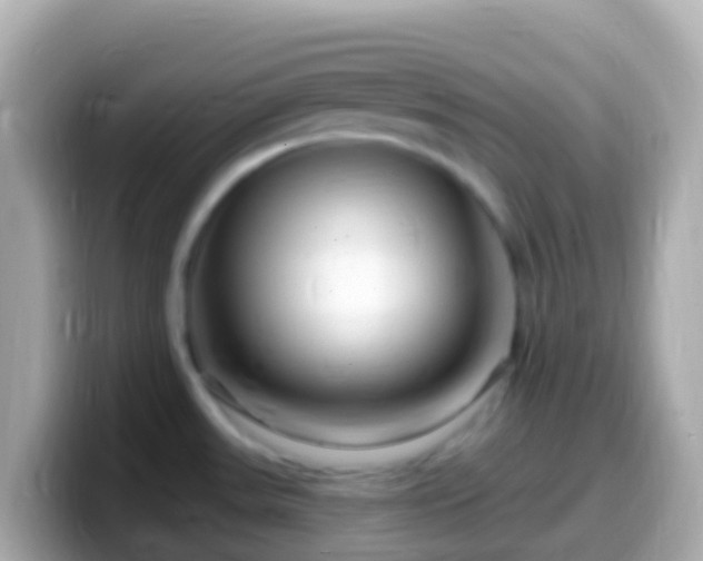 X0000099581531200805231541