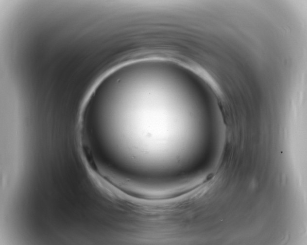 X0000099581532200805231541