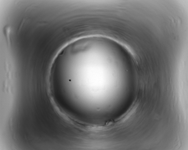 X0000099581534200805231541