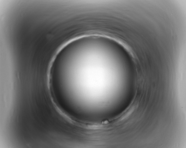 X0000099581535200805231541
