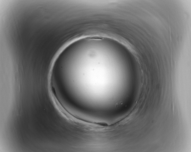 X0000099581536200805231541