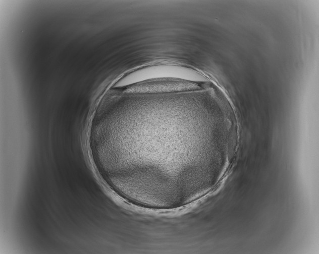 X0000099580001200805301608