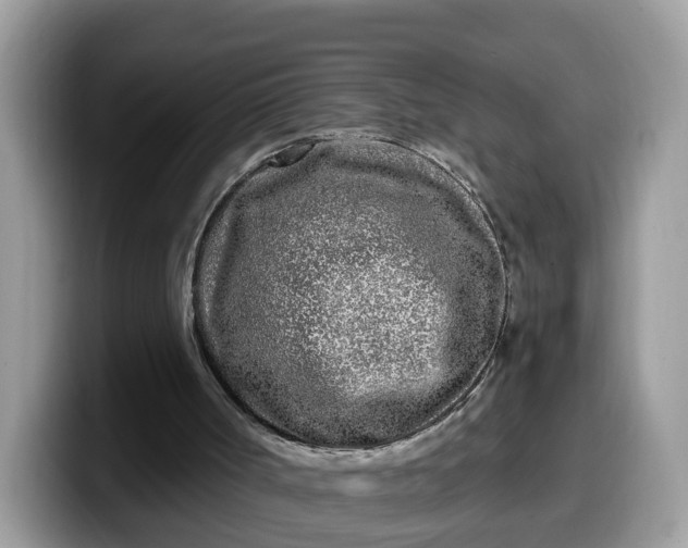 X0000099580002200805301608