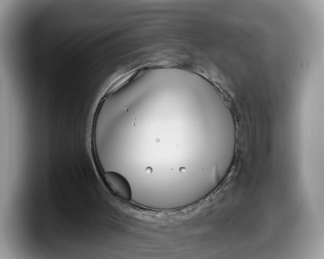 X0000099580003200805301608