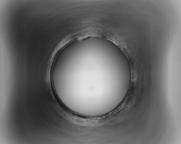 X0000099580004200805301608