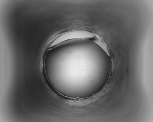 X0000099580005200805301608