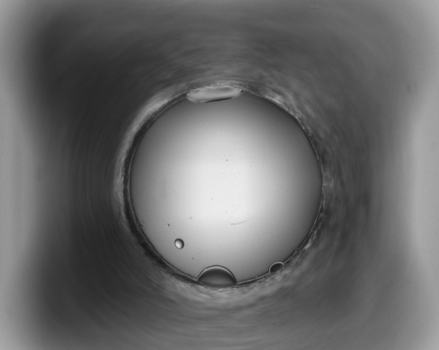 X0000099580006200805301608