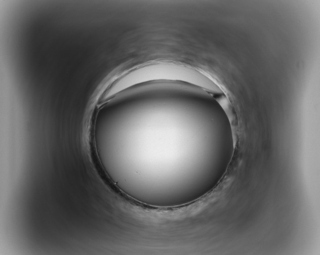 X0000099580007200805301608