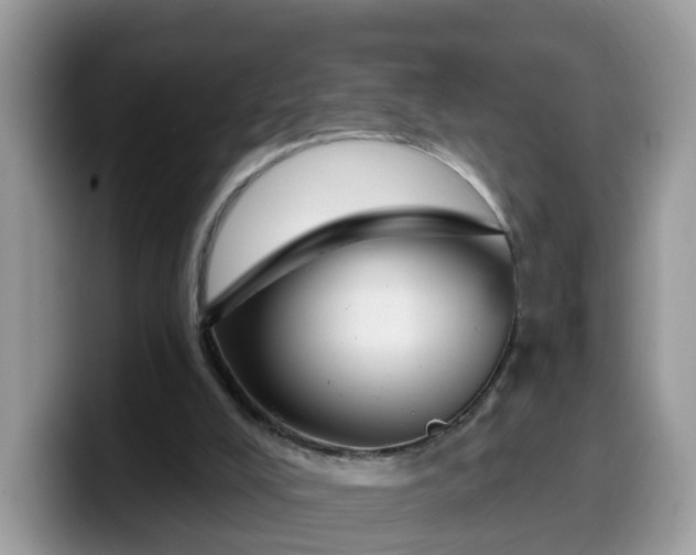 X0000099580008200805301608