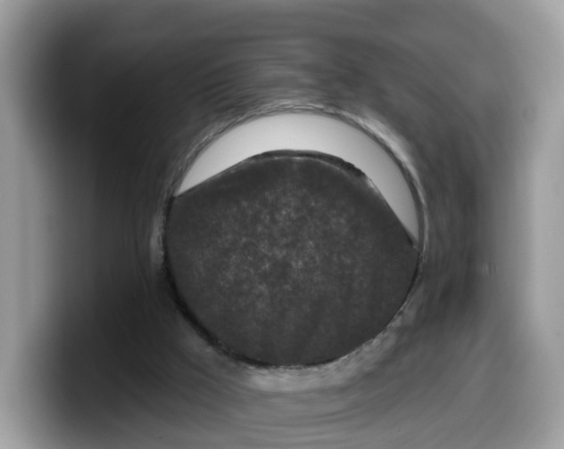 X0000099580009200805301608