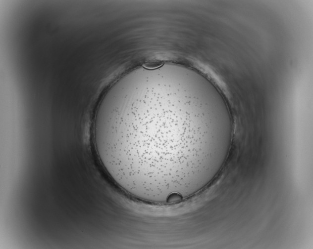 X0000099580010200805301608