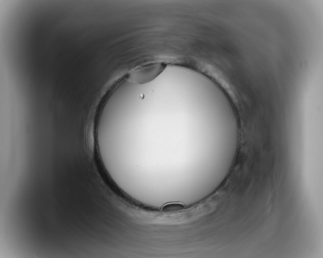 X0000099580011200805301608