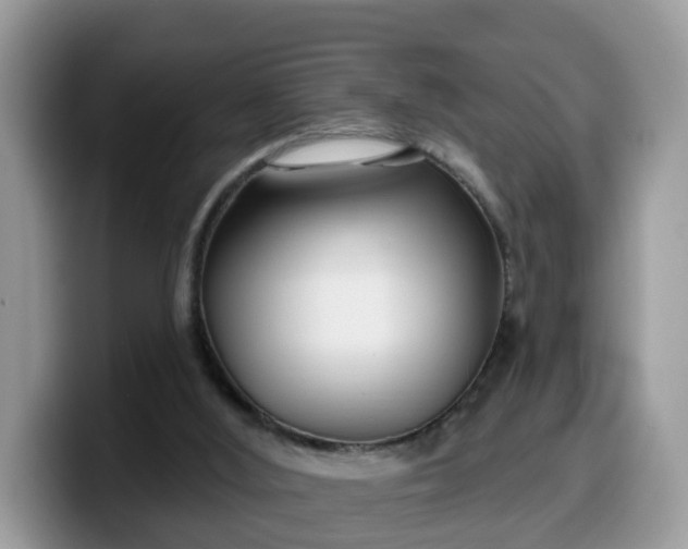 X0000099580012200805301608