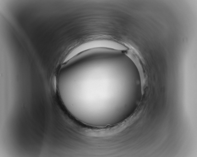 X0000099580013200805301608