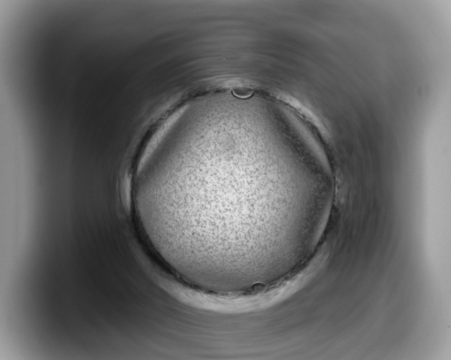 X0000099580014200805301608