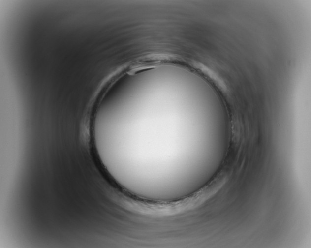 X0000099580015200805301608