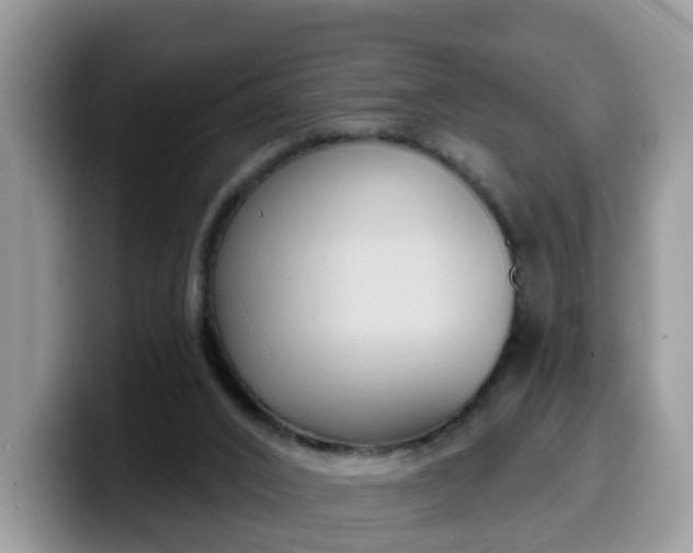 X0000099580016200805301608