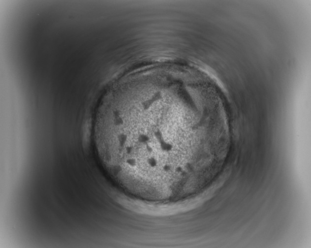 X0000099580018200805301608